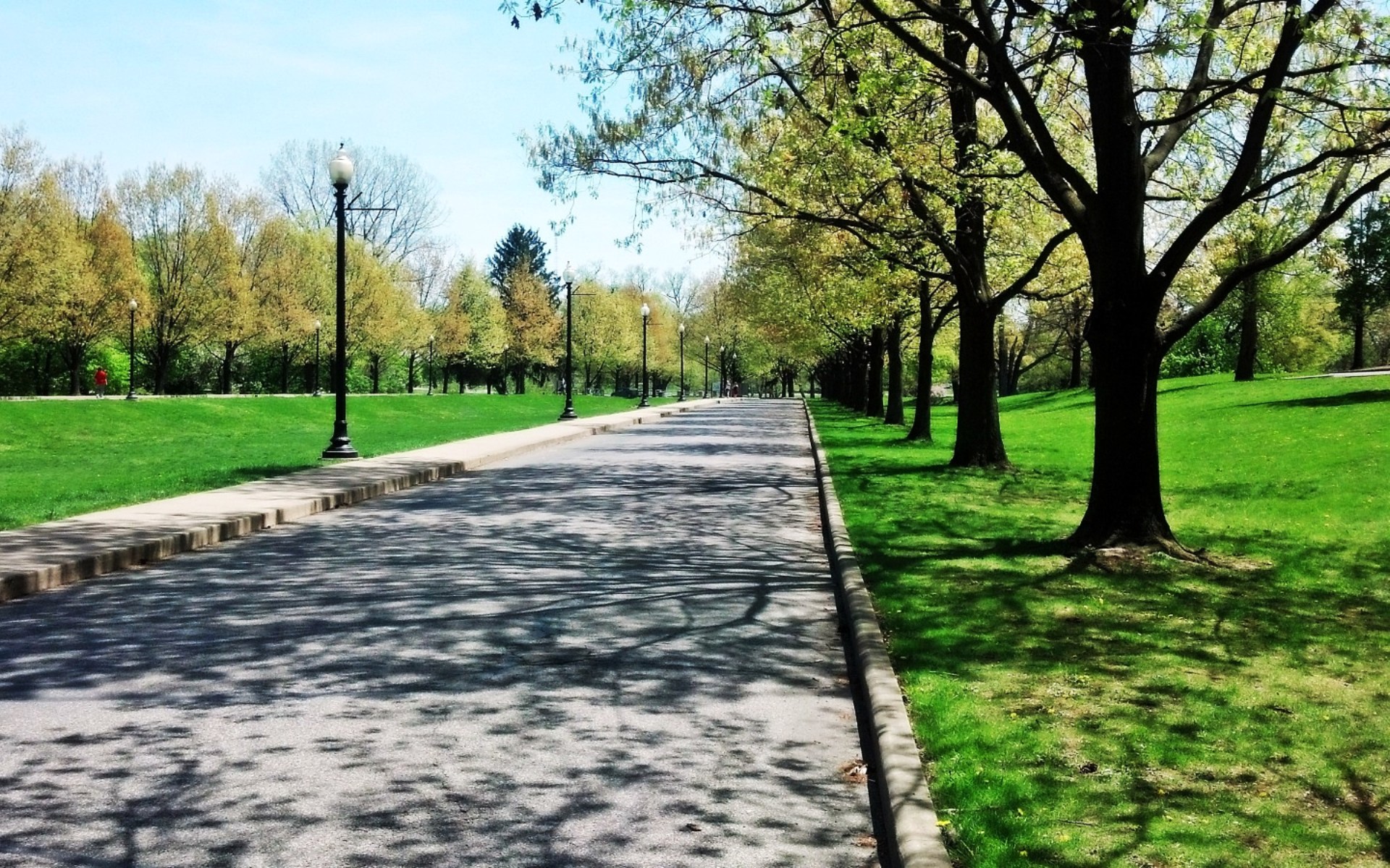 Дорога в сквере. Аршиновский парк Москва. Курчатовский парк. Парк весной.