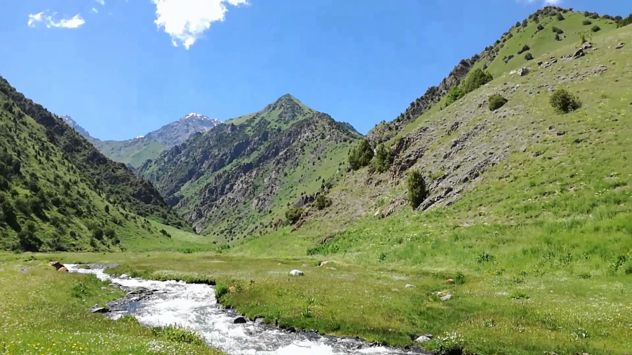 Алай кыргызстан. Алай Киргизия. Джайлоо Алай. Мурдаш Киргизия. Алай району.