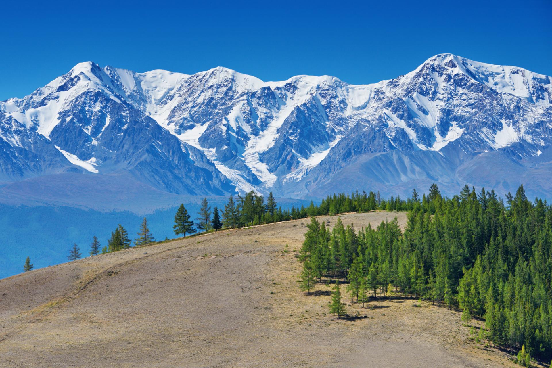 Как называются горы в россии. Гора Белуха Алтайский край. Гора Биданка горный Алтай. Хребты горного Алтая. Альпийские Луга Актру.